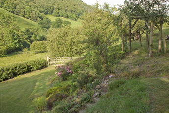 The view from Dolgenau Hir upper garden