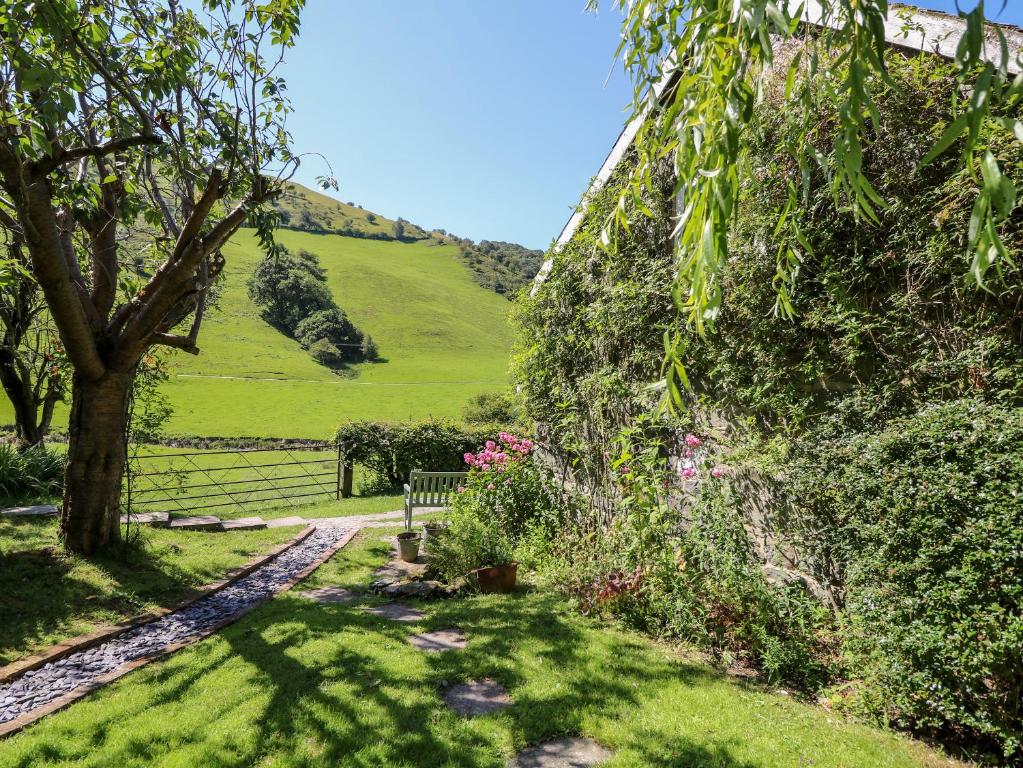 Lower Dolgenau cottage